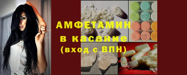 сатива Богданович
