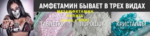 прущие грибы Богородицк
