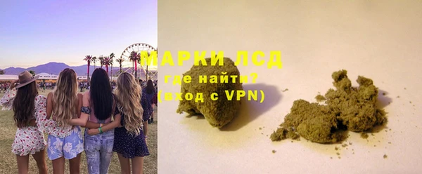 прущие грибы Богородицк
