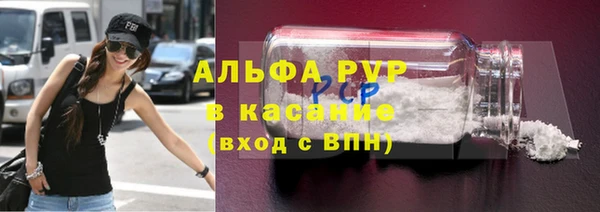 прущие грибы Богородицк