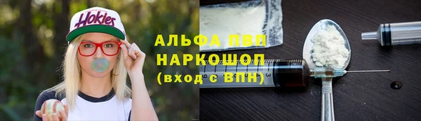 прущие грибы Богородицк