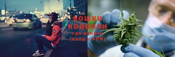сатива Богданович