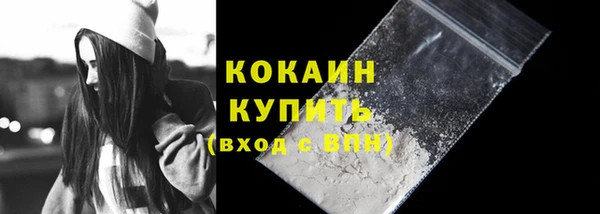 прущие грибы Богородицк