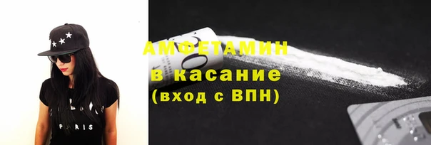 сатива Богданович