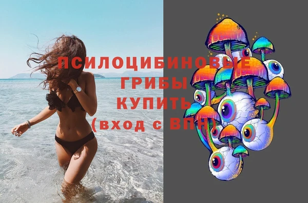 прущие грибы Богородицк