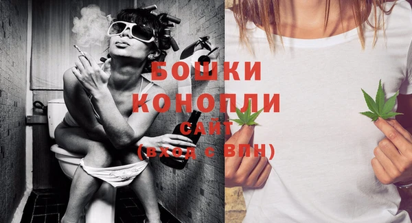 сатива Богданович