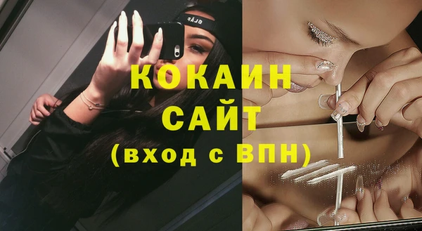 сатива Богданович