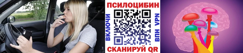 Купить закладки  Железноводск  Псилоцибиновые грибы прущие грибы 
